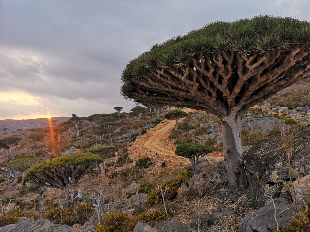 Percepţia te face sǎ-ţi trǎieşti viaţa prin filtre şi sǎ nu vezi mereu realitatea