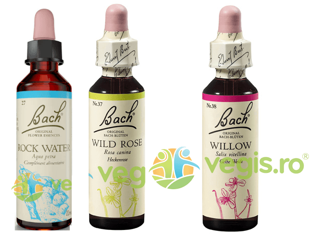 Nu te poţi detaşa de exterior, dar poţi decide ce trăieşti, cu Remedii florale Bach Nu te poţi detaşa de exterior, dar poţi decide ce trăieşti, cu Remedii florale Bach