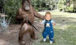 Conștientizează și schimbă tiparele mentale negative