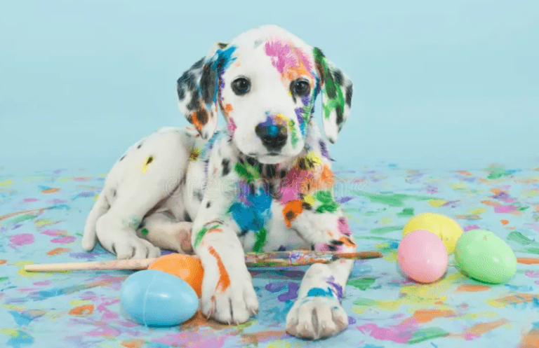 Află cum te eliberezi de griji şi haosul zilnic