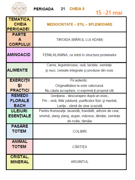 C8 stilul