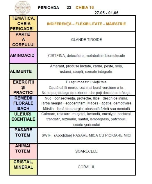 c 16 intre 27.05 si 1.06