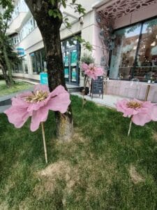 Cum să-ţi simplifici viața! Găsește-ți aliații potriviți cu aceste recomandări