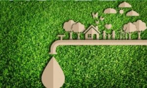 AQUA Carpatica susține o nouă ediție a proiectului „Focus to Green Eco Life”: „Apa și gastronomia sustenabilă”, alături de copiii Grădiniței Nr. 23 din București AQUA Carpatica susține o nouă ediție a proiectului „Focus to Green Eco Life”: „Apa și gastronomia sustenabilă”, alături de copiii Grădiniței Nr. 23 din București
