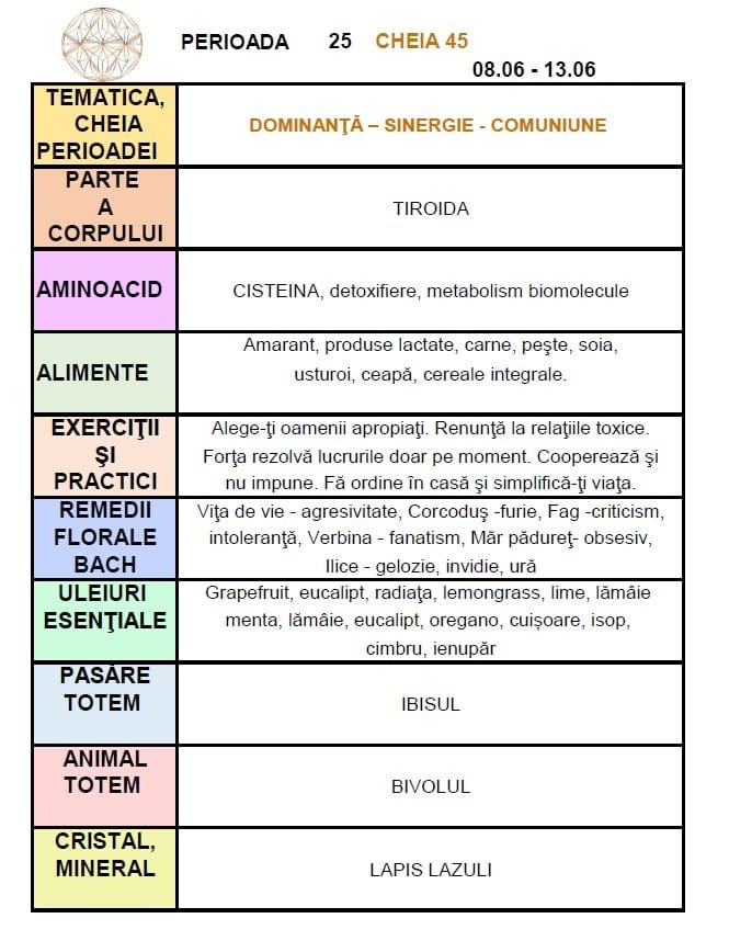 C45 8 SI 13 IUNIE C45 8 SI 13 IUNIE